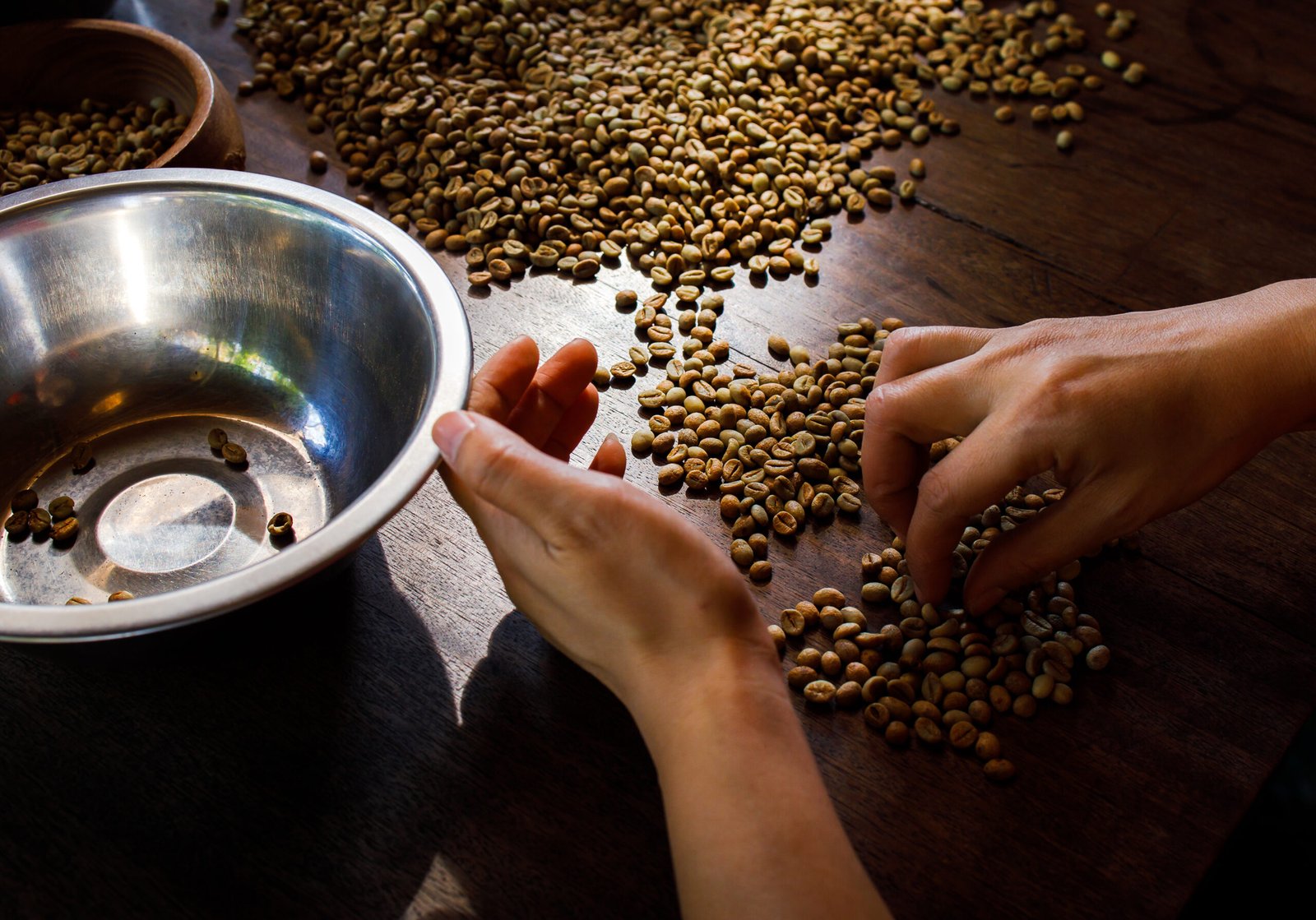 person sorting coffee beans