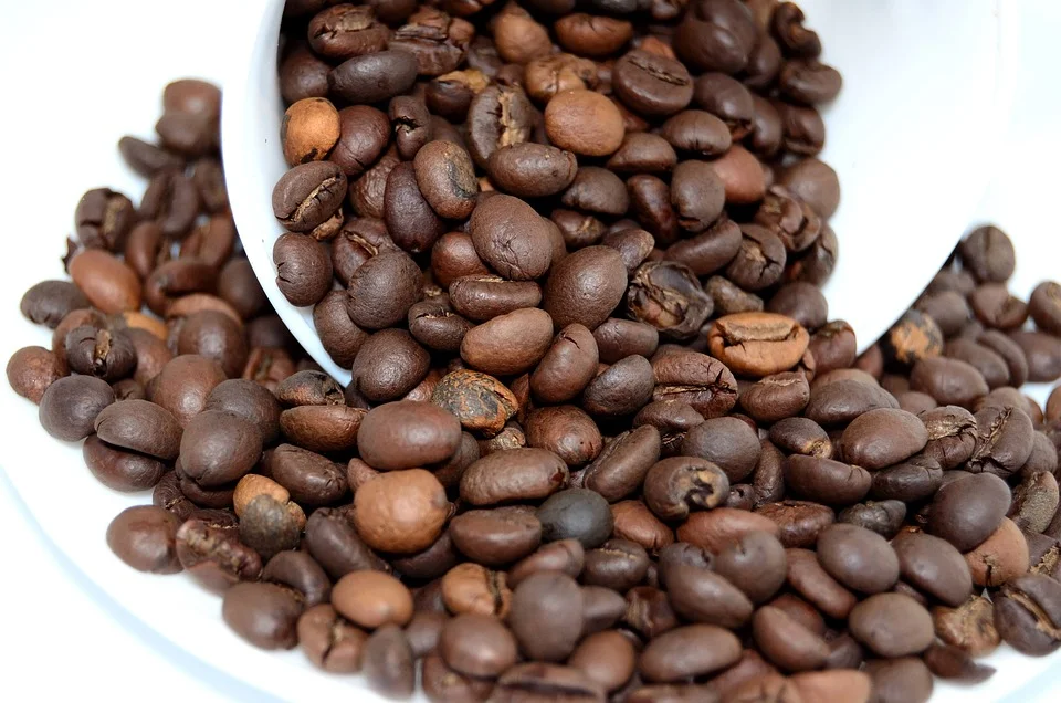 Coffee beans to coffee drink. Types of Coffee Drinks. Types of coffee beans - different coffee beans and their flavors