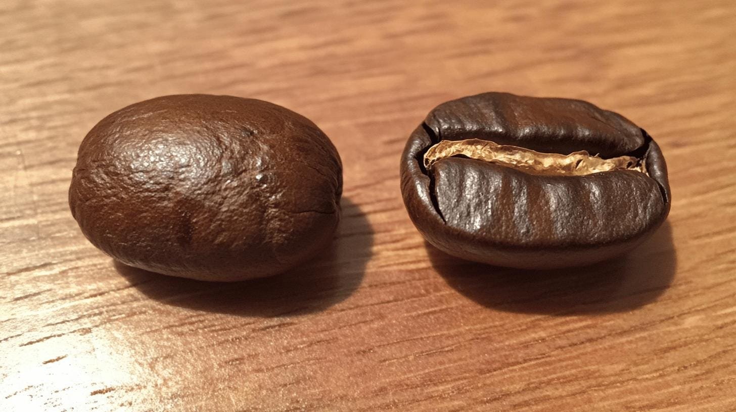 Closeup picture of coffee bean on a table - Does Bold Coffee Have More Caffeine.jpg