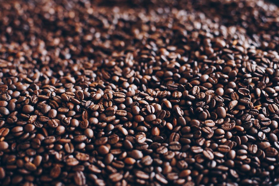 ethically sourced coffee companies