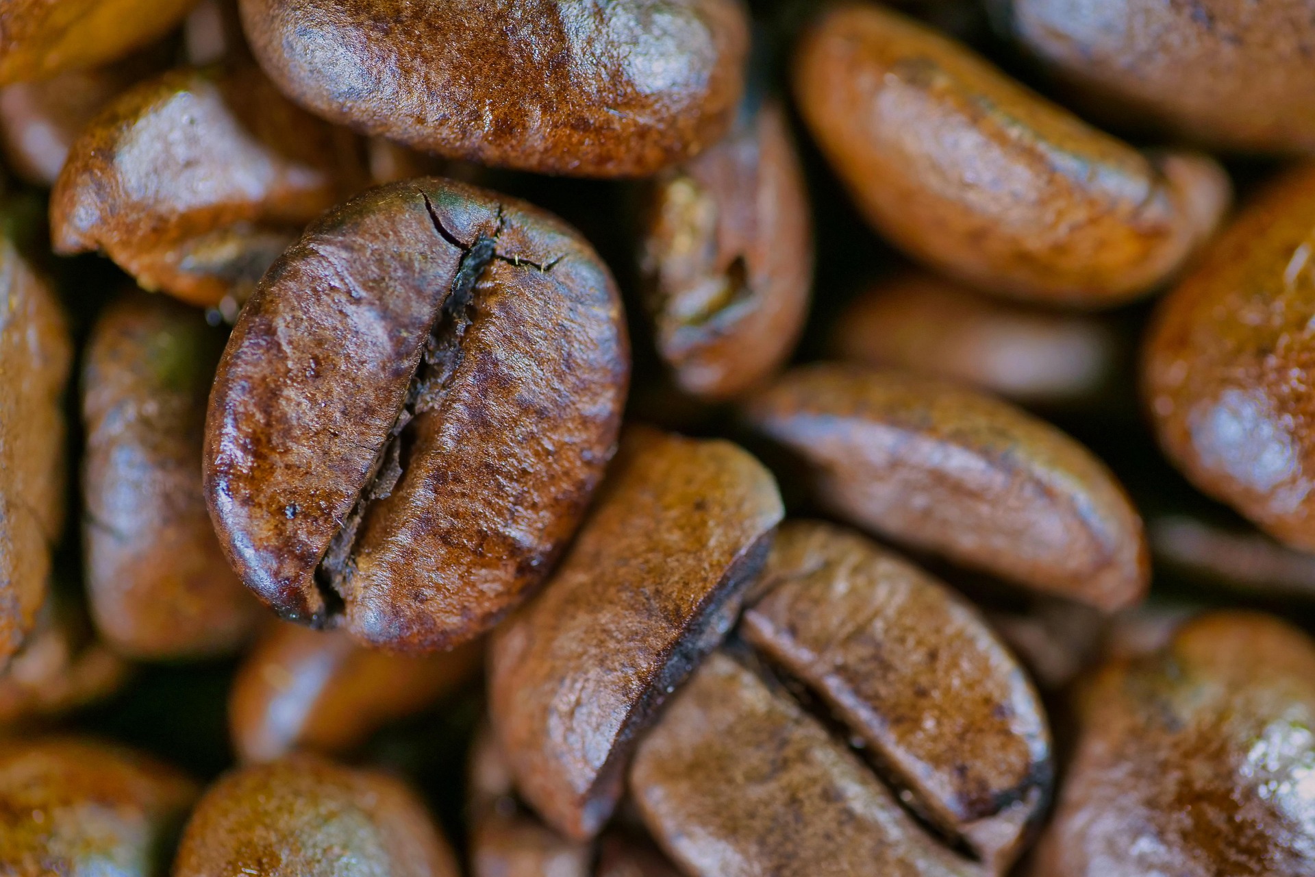 Close-up of roasted coffee beans showing texture and quality